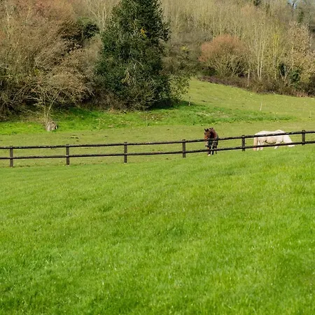 Hotell Domaine De & *